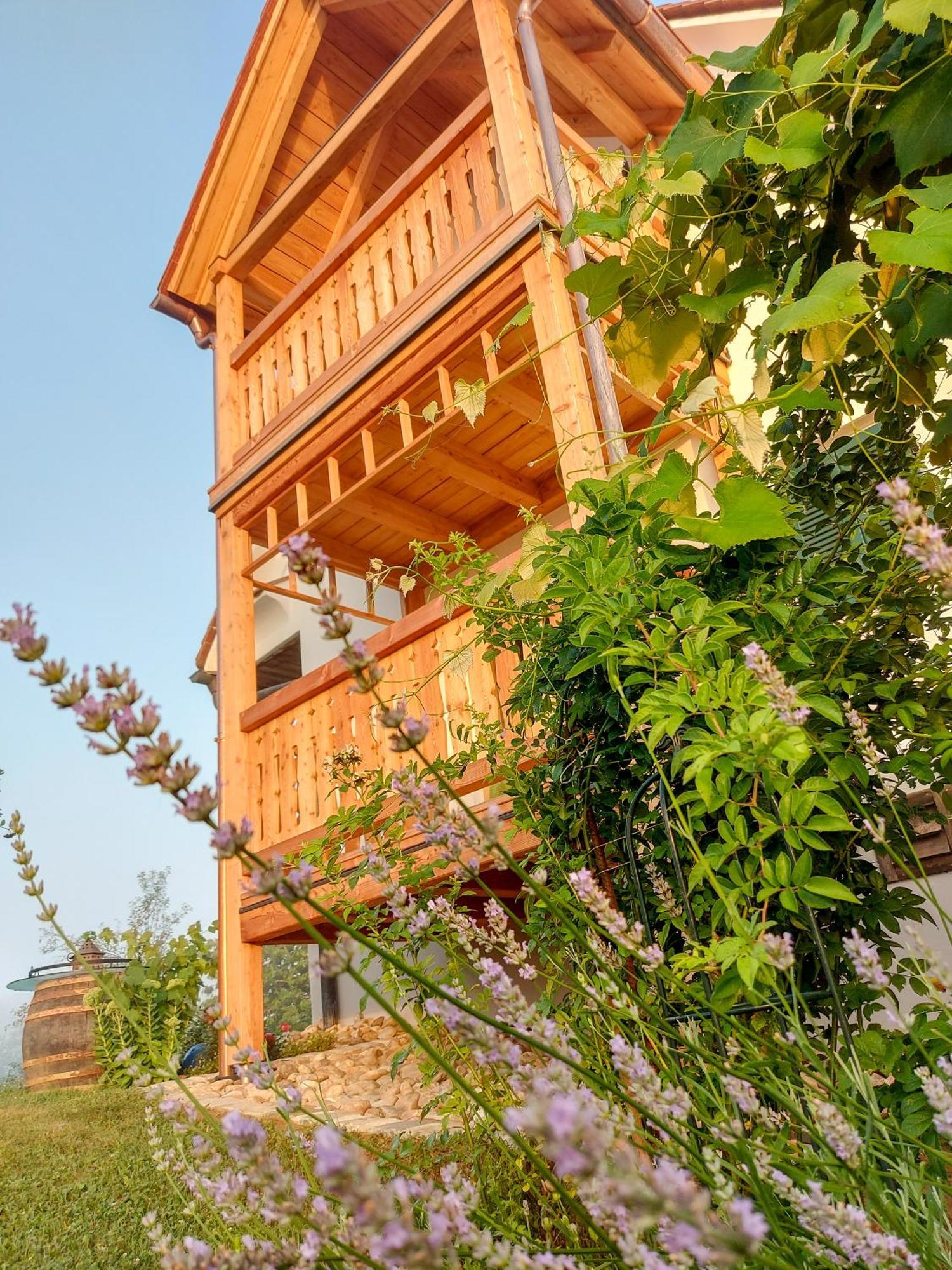Sonnenhaus Grandl Apartment Feldbach  Exterior photo